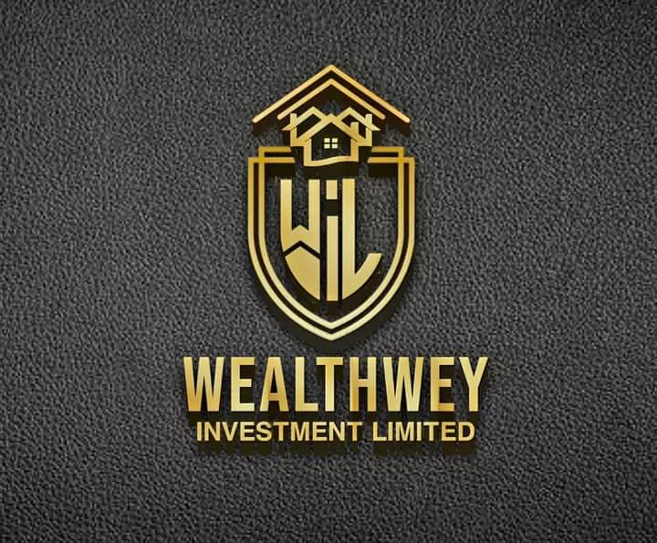 I will create your professional logo design a unique logo an impactful logo