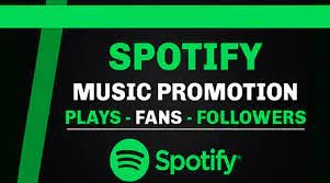 do  USA spotify promotion and organic spotify music promotion