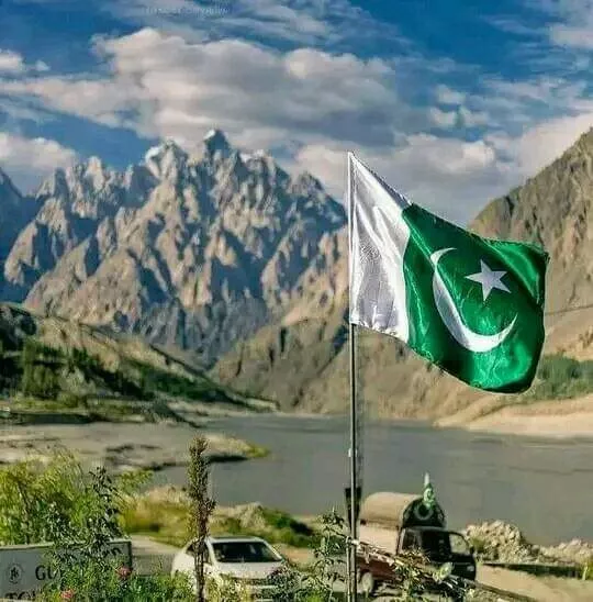 I will write an articles on any subject starting from 500 words