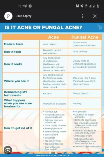 Make amazing websites