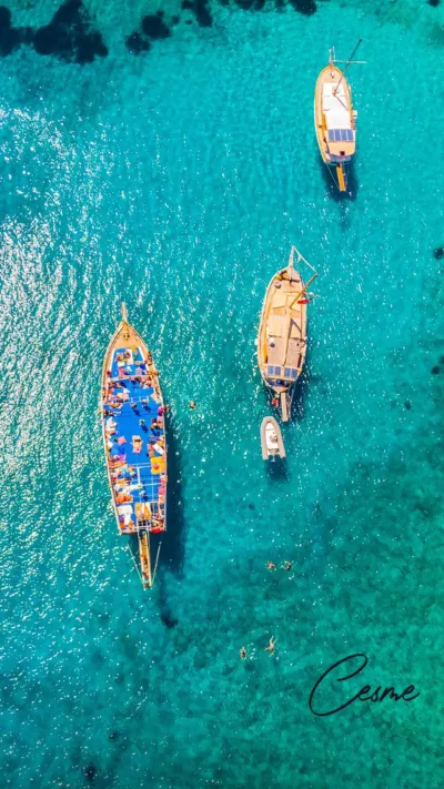 Research writing and technical writing